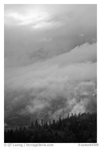 Clearing clouds and ridge with conifers. Baxter State Park, Maine, USA (black and white)