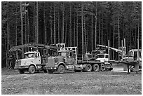 Forestry vehicles in a clearing. Maine, USA (black and white)
