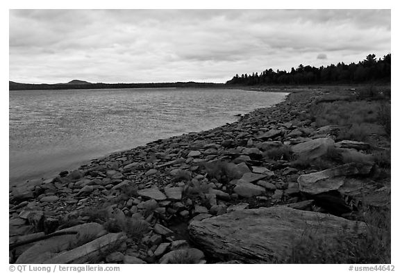 Shores of Eagle Lake. Allagash Wilderness Waterway, Maine, USA (black and white)