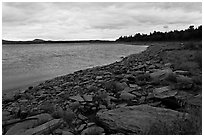 Shores of Eagle Lake. Allagash Wilderness Waterway, Maine, USA ( black and white)