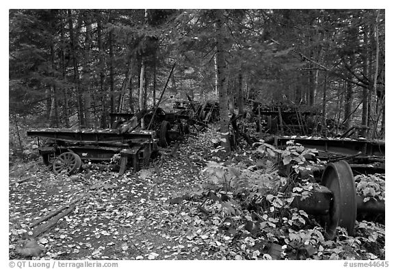 Remnants of abandonned railway equipement. Allagash Wilderness Waterway, Maine, USA
