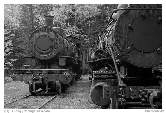 Eagle Lake and West Branch railroad locomotives. Allagash Wilderness Waterway, Maine, USA (black and white)