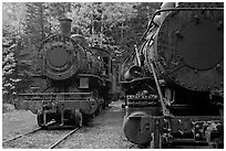 Eagle Lake and West Branch railroad locomotives. Allagash Wilderness Waterway, Maine, USA ( black and white)