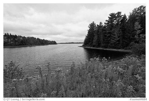 Round Pond from Johns Bridge. Allagash Wilderness Waterway, Maine, USA (black and white)