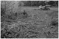 Deforested area and forestry truck and trailer. Maine, USA ( black and white)