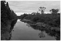 Machias River. Maine, USA ( black and white)