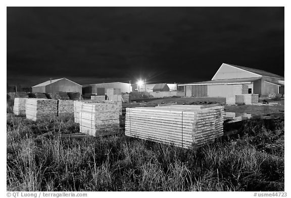 Lumber stacks at night, Ashland. Maine, USA (black and white)
