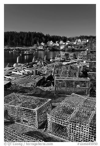 Lobster traps. Stonington, Maine, USA (black and white)