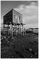 Shack on stills and harbor. Corea, Maine, USA ( black and white)