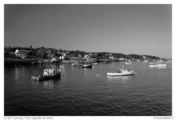 Lobster fleet, late afternoon. Stonington, Maine, USA (black and white)