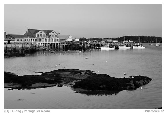 Harbor, late afternoon. Stonington, Maine, USA (black and white)