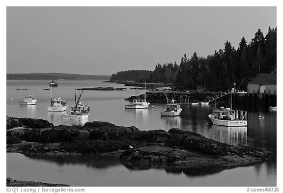 Lobstering fleet at dusk. Stonington, Maine, USA (black and white)