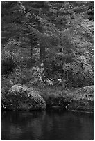 Rocks and trees in fall foliage reflected in East Branch Penobscot River. Katahdin Woods and Waters National Monument, Maine, USA ( black and white)
