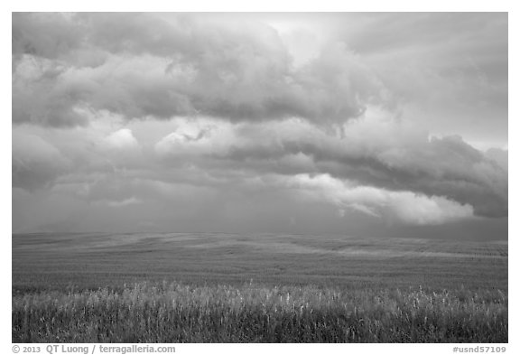 Storm clouds over field. North Dakota, USA