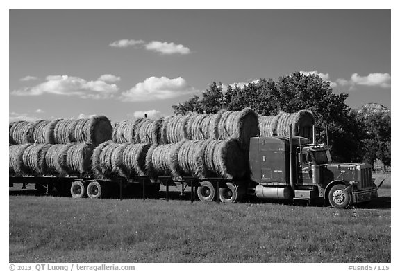 Truck loaded with hay rolls, Medora. North Dakota, USA (black and white)
