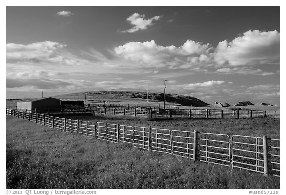 Cattle enclosure. North Dakota, USA (black and white)