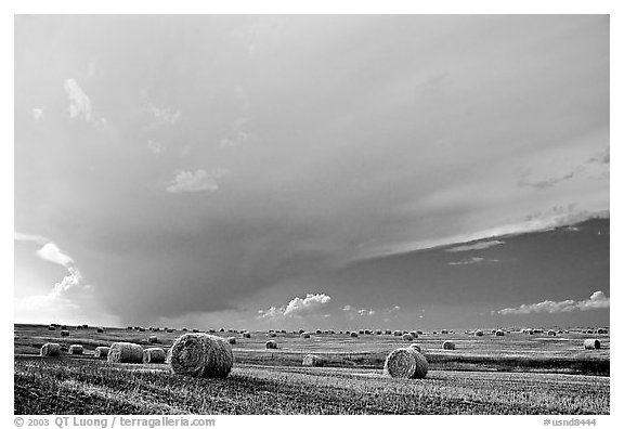 Storm cloud and hay rolls. North Dakota, USA