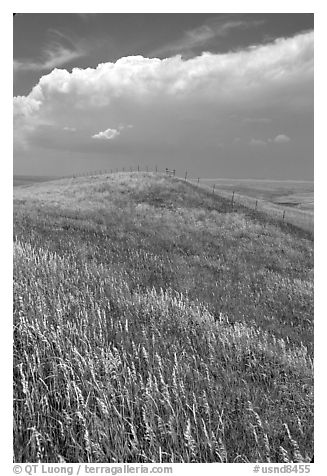 Grassy hills. North Dakota, USA (black and white)