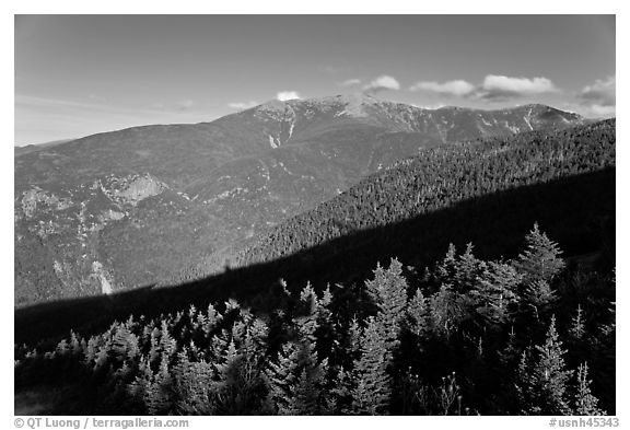 Forests and mountains, Franconia Notch State Park, White Mountain National Forest. New Hampshire, USA (black and white)
