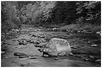 Stream in autumn, White Mountain National Forest. New Hampshire, USA (black and white)
