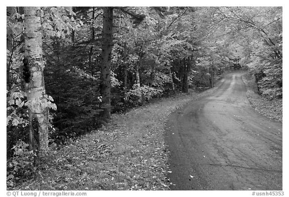 Rural road in autumn, White Mountain National Forest. New Hampshire, USA (black and white)