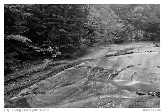 Stream over rock slab in autumn, Franconia Notch State Park. New Hampshire, USA (black and white)