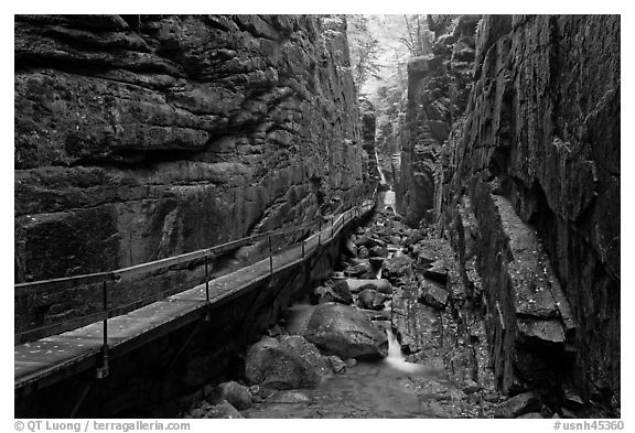The Flume, narrow granite gorge, Franconia Notch State Park. New Hampshire, USA (black and white)