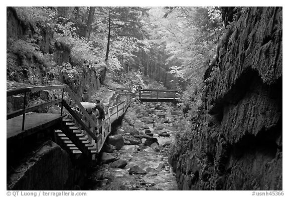 Rainy day at the Flume, Franconia Notch State Park. New Hampshire, USA (black and white)