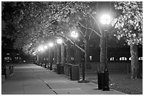 Row of lights by night, Ellis Island. NYC, New York, USA (black and white)