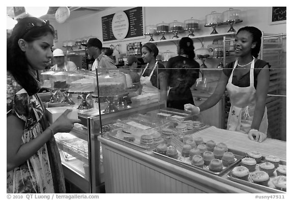 Cupcakes sold in bakery. NYC, New York, USA (black and white)