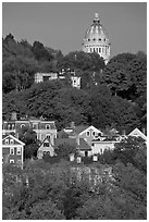 Forested hill, houses and dome. Providence, Rhode Island, USA (black and white)