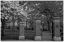 Entrance to grounds of Brown University in the spring. Providence, Rhode Island, USA ( black and white)