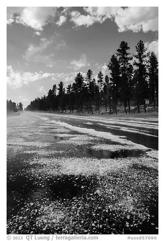 Highway after hailstorm, Black Hills National Forest. Black Hills, South Dakota, USA