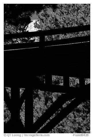Distant view of Mt Rushmore through a bridge and trees. South Dakota, USA (black and white)