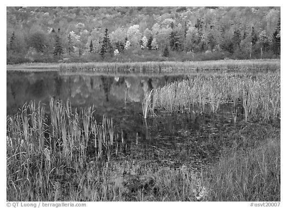 Autumn Reflections, Green Mountains. Vermont, New England, USA (black and white)