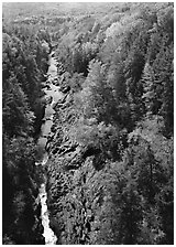 Quechee Gorge and river in the fall. USA ( black and white)