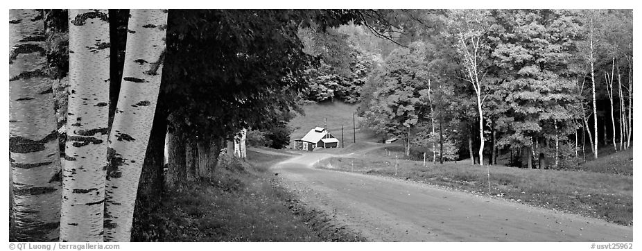 Pastoral landscape in autumn with road. Vermont, New England, USA (black and white)