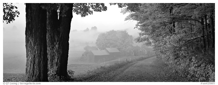 Rural view with road and farm in autumn fog. Vermont, New England, USA (black and white)
