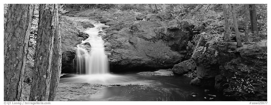 Forest scene with waterfall,  Amnicon Falls State Park. Wisconsin, USA (black and white)