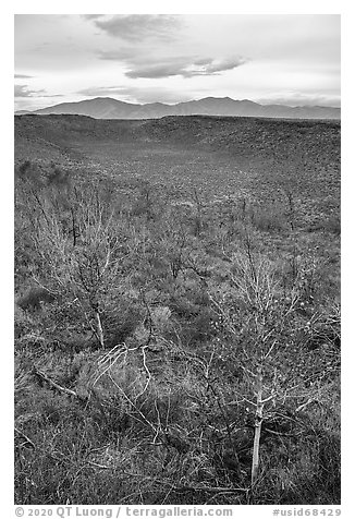 Snowdrift Crater with aspen. Craters of the Moon National Monument and Preserve, Idaho, USA (black and white)