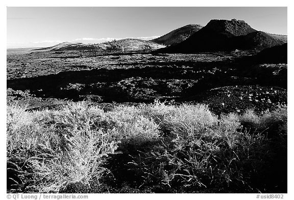 Lava field and spatter cones. Craters of the Moon National Monument and Preserve, Idaho, USA (black and white)