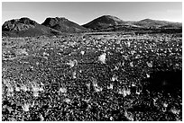 Scoria field with grasses and cinder cones. Craters of the Moon National Monument and Preserve, Idaho, USA ( black and white)