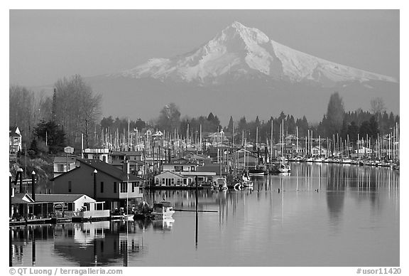 Houseboats on North Portland Harbor and snow-covered Mt Hood. Portland, Oregon, USA (black and white)