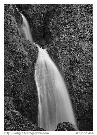 Waterfall, Columbia River Gorge. USA (black and white)