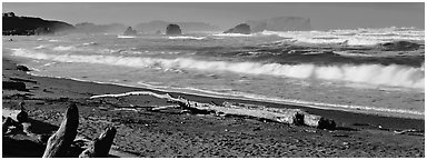 Oregon seascape with beach and surf. Bandon, Oregon, USA (Panoramic black and white)