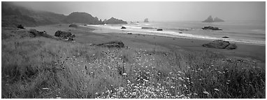 Foggy seascape. Oregon, USA (Panoramic black and white)