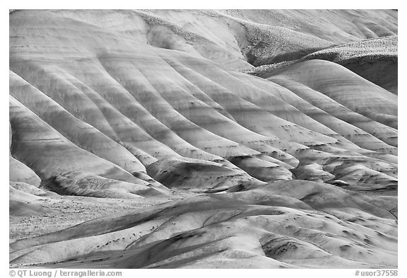 Colorful layers of rock on eroded hills. John Day Fossils Bed National Monument, Oregon, USA (black and white)