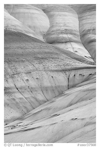 Eroded volcanic ash hummocks. John Day Fossils Bed National Monument, Oregon, USA