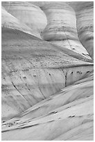 Eroded volcanic ash hummocks. John Day Fossils Bed National Monument, Oregon, USA ( black and white)