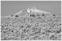 Mt Hood above sagebrush-covered plateau. Oregon, USA ( black and white)